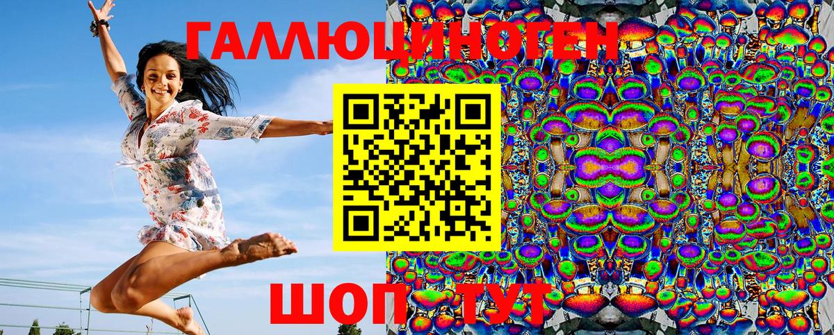 Псилоцибиновые грибы Psilocybe Шатура